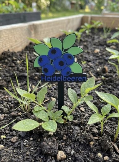 Schild mit der Aufschrift „Heidelbeeren“ neben Heidelbeer-Pflanzen im Garten.
