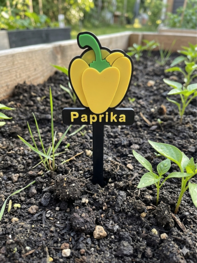 Gelbe Paprika-Pflanze mit einem dekorativen Schild im Gartenbeet.
