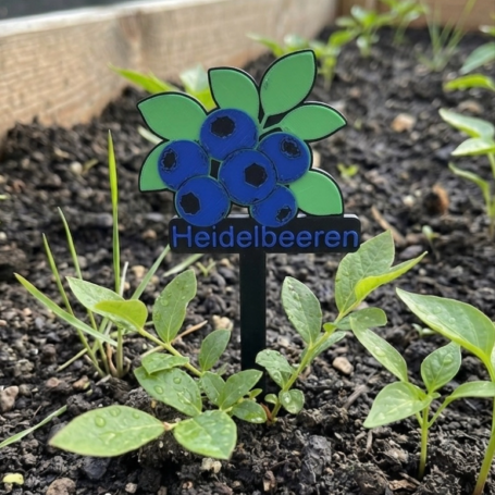 Heidelbeeren-Pflanze mit einem beschrifteten Schild im Gartenboden.