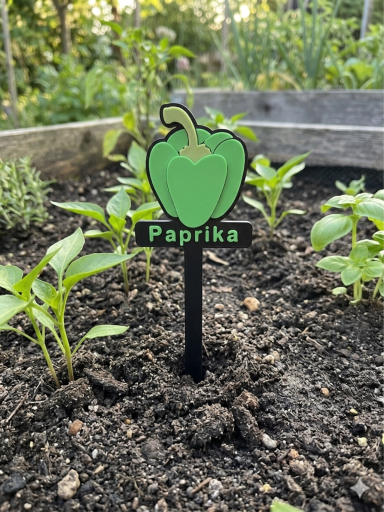 Grüner Paprika-Pflanzenmarker in einem Gemüsegarten.