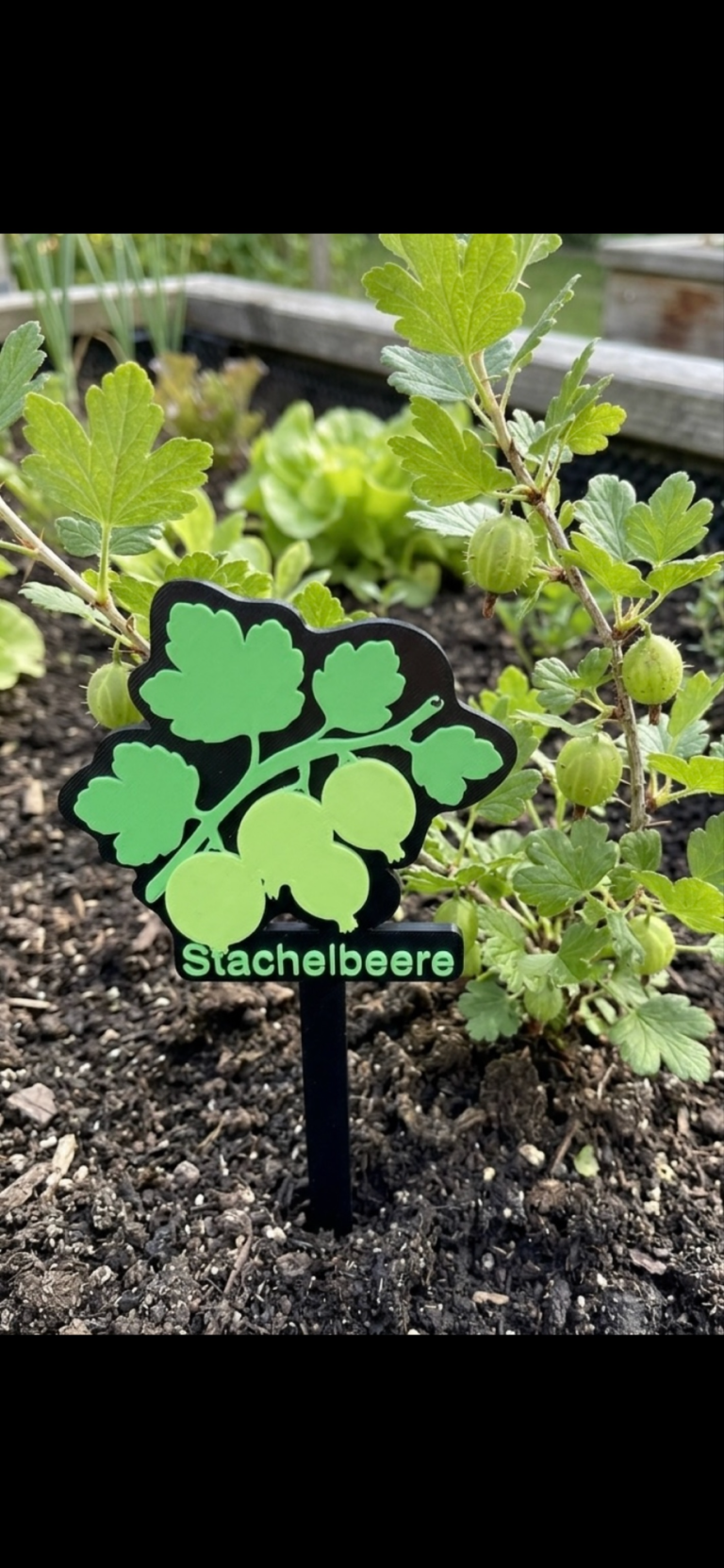 Grünes Schild mit Kleeblatt-Design im Gartenboden neben einer Pflanze.