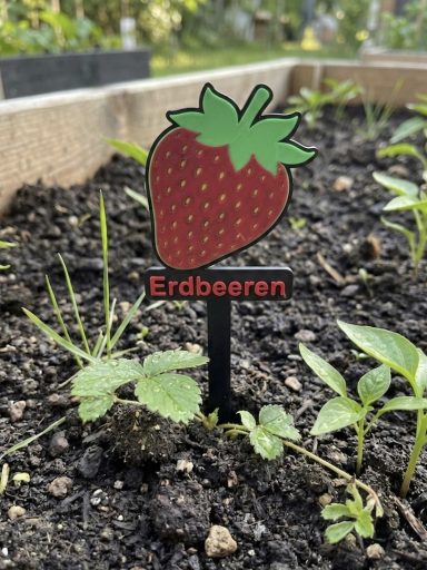 Erdbeerschild in einem Gartenbeet mit Erdbeerpflanzen.