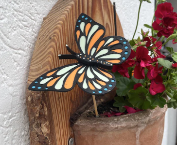 Schmetterling in orange und blau auf einem Blumentopf mit roten Blüten.
