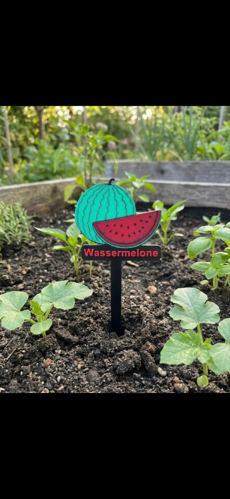 Schilder mit einer Wassermelonenabbildung in einem Gemüsegarten.
