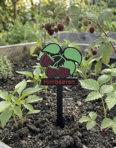Ein Schild mit der Aufschrift "Himbeeren" und einem Symbol von Himbeerblättern und -früchten.