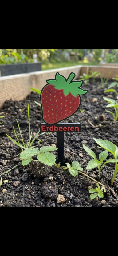 Schilder mit einer Erdbeere darauf, in einem Gartenbeet mit Pflanzen.